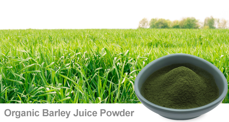 ​​​有机大麦苗粉丰富的营养物质 | 陕西恒植源