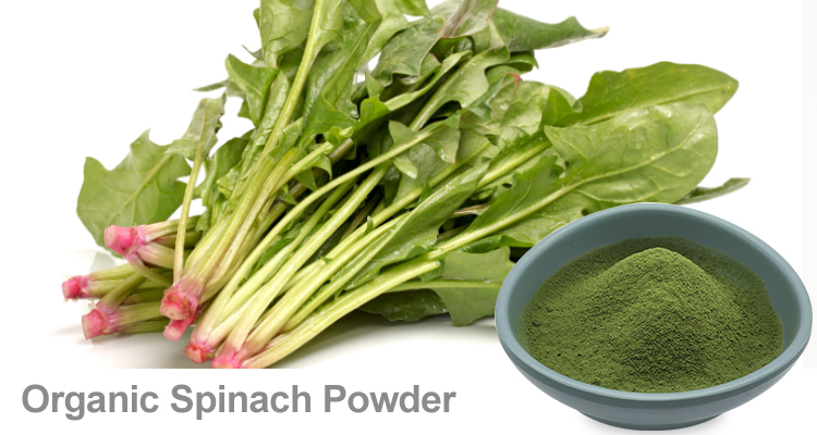 有机菠菜粉与胆固醇 | 陕西恒植源
