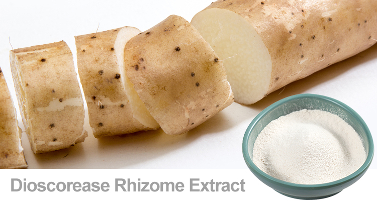 山药提取物多糖的应用|陕西恒植源