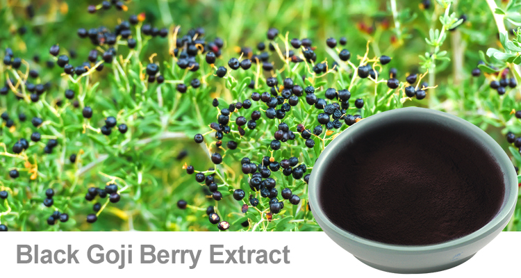 枸杞提取物之改善生殖能力|陕西恒植源